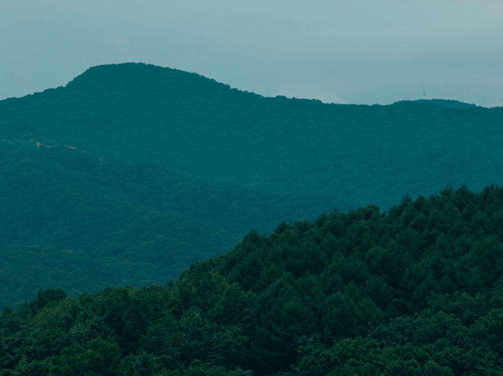 三五工務店が挑んだ新しい暮らしの提案 －山郷プロジェクト－