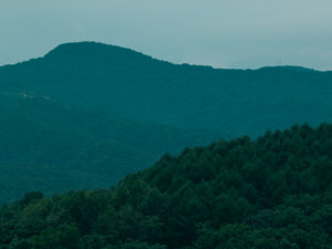 三五工務店が挑んだ新しい暮らしの提案 －山郷プロジェクト－